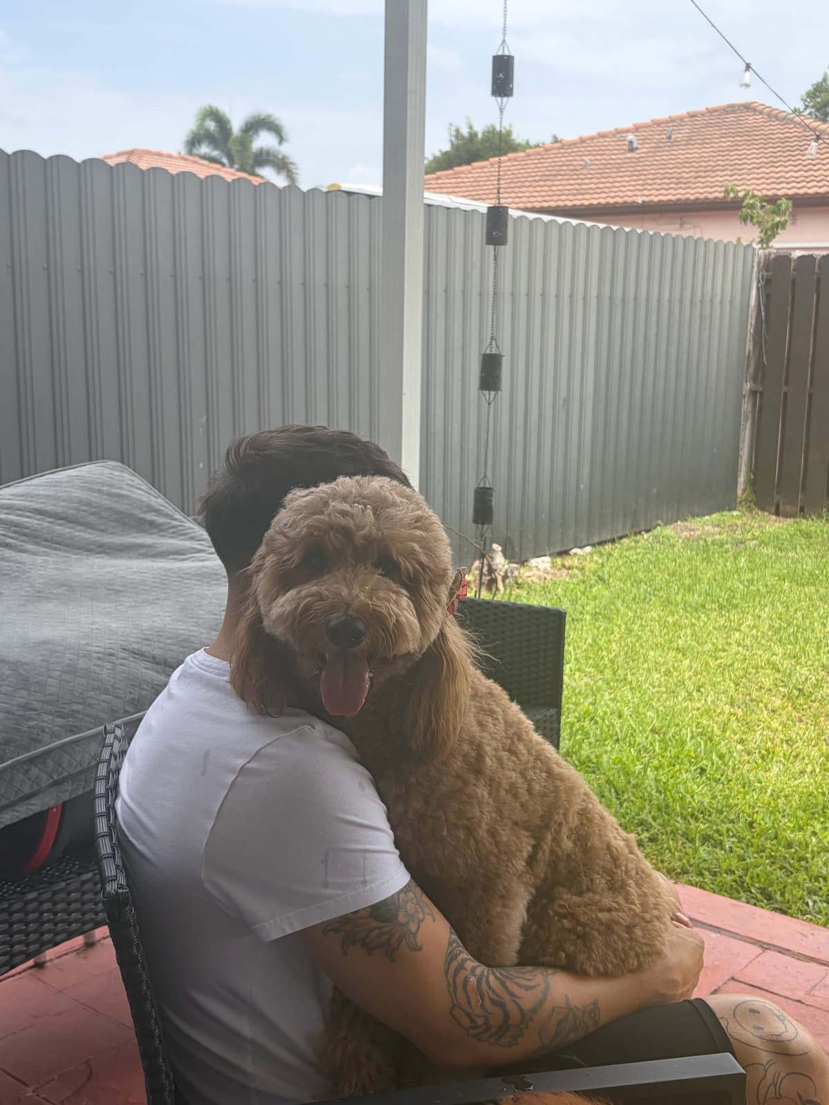 Un hombre abrazando a un doodle en el patio